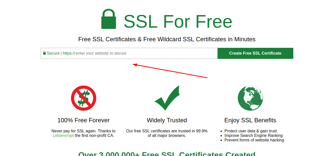 Поле, куда надо ввести доменное имя для получения https