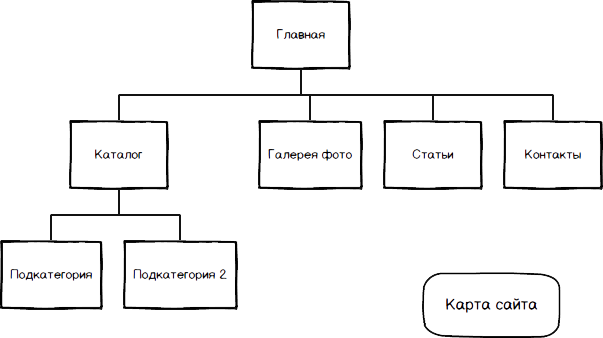 структура website
