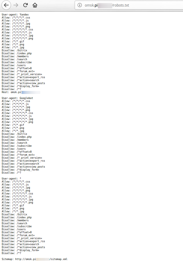 robots.txt для поддоменов