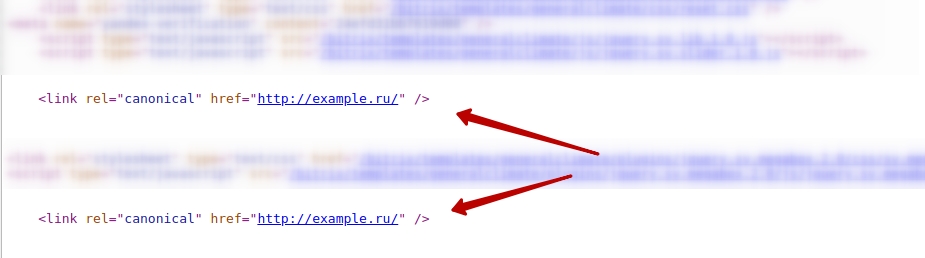 двойной canonical на странице