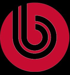 Продвижение сайта на Битриксе | Поисковая оптимизация (SEO) 1С Битрикс: основные преимущества и недостатки